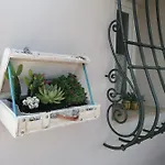 Nido Gaga Capoliveri (Isola d'Elba)