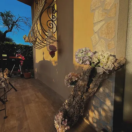 Nido Gaga * 카폴리베리