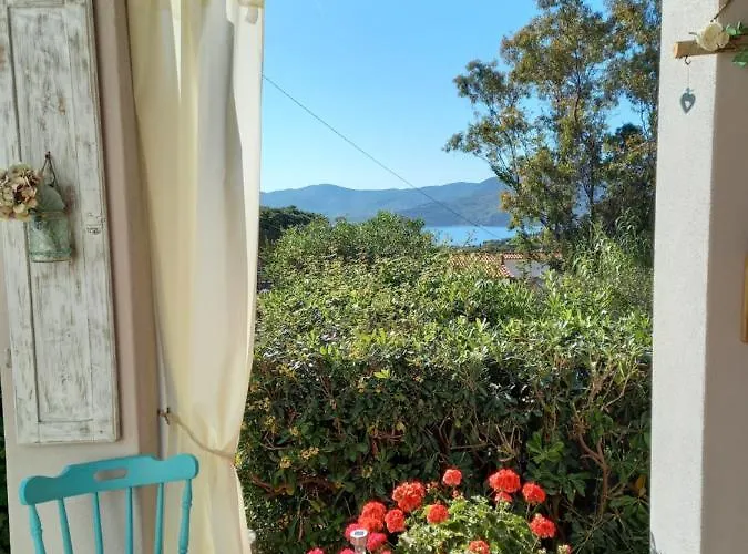 Nido Gaga 카폴리베리