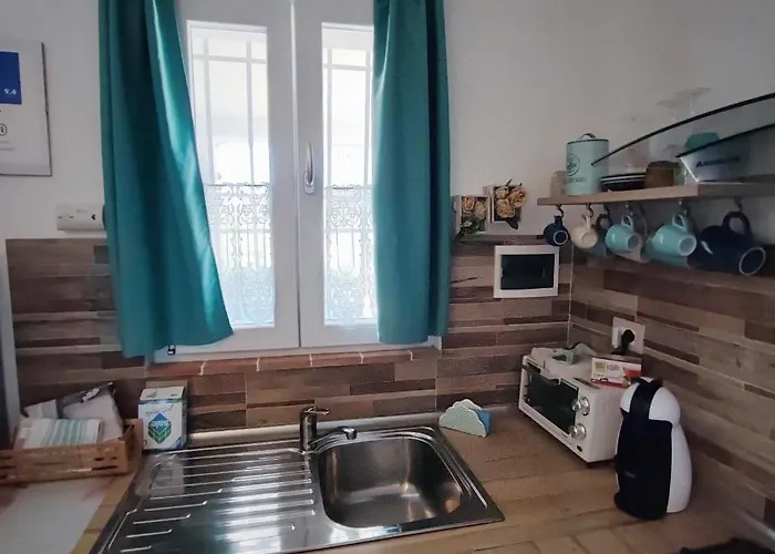 Nido Gaga 카폴리베리