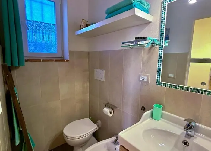 Nido Gaga 카폴리베리