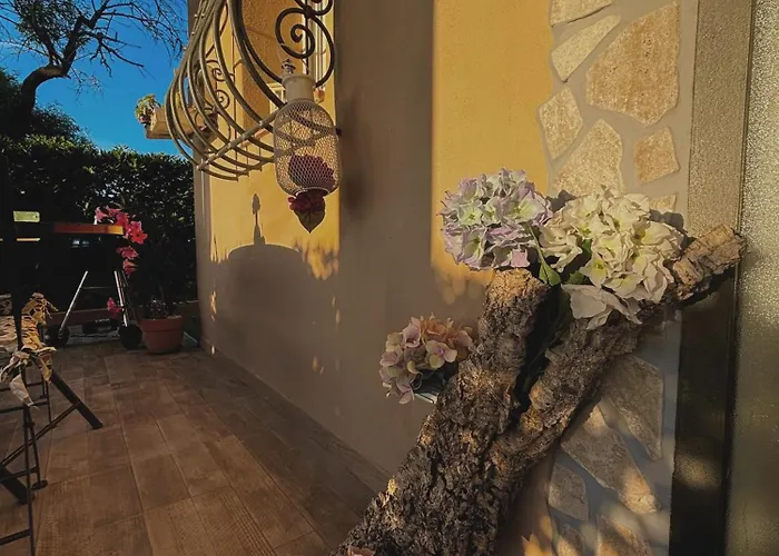 Nido Gaga * 카폴리베리