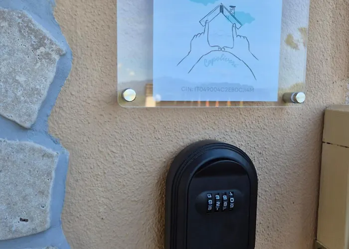 Nido Gaga * 카폴리베리